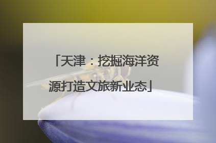 天津：挖掘海洋资源打造文旅新业态
